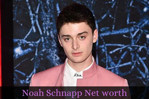 Noah Schnapp Net Worth: How Much Fortune Does The。